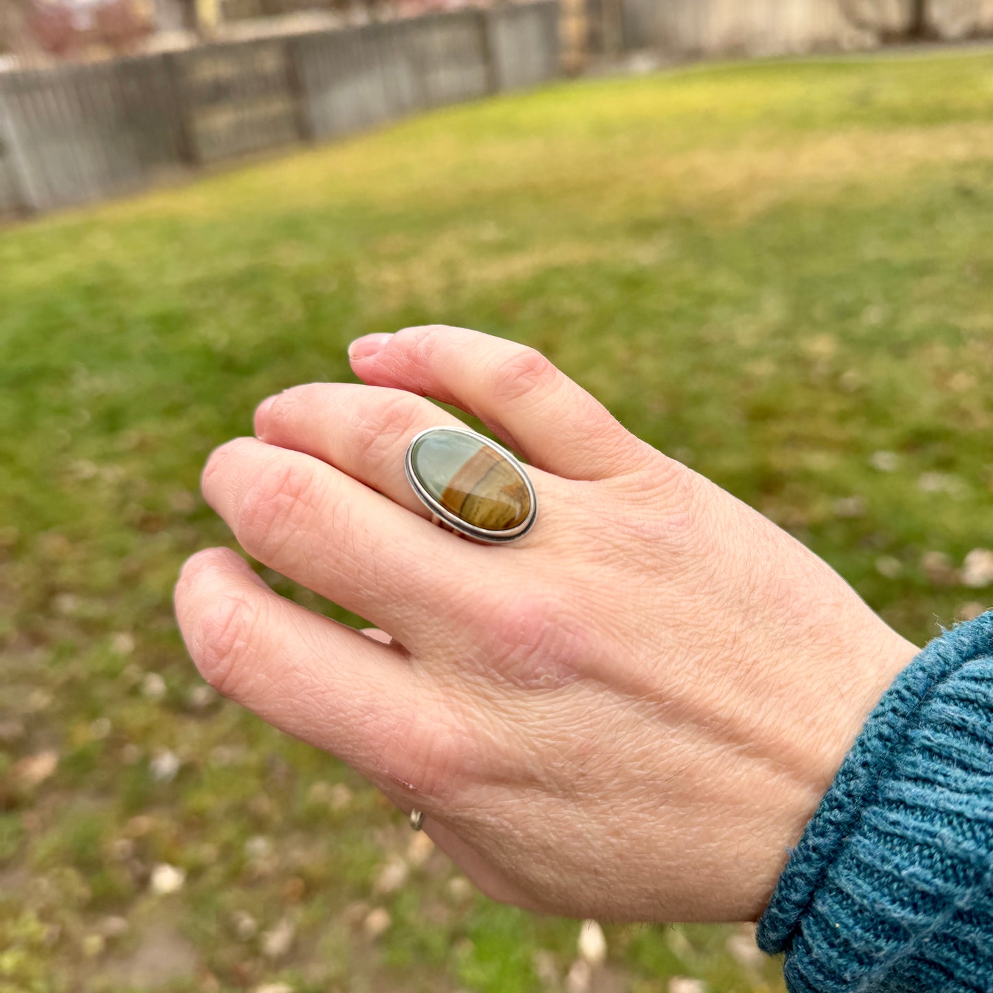 Wild Horse Picture Jasper Ring