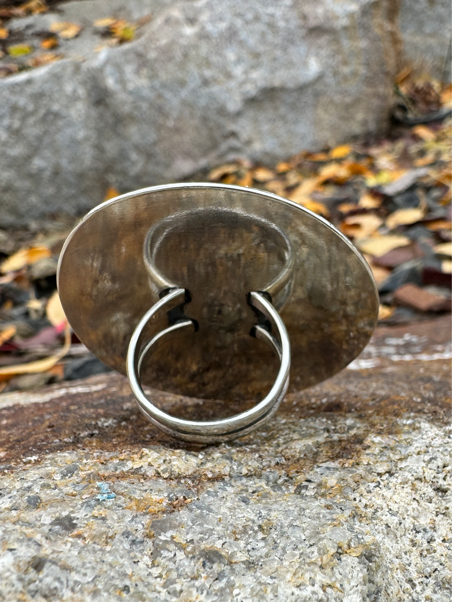 Wild Rag Slide - Owyhee Jasper