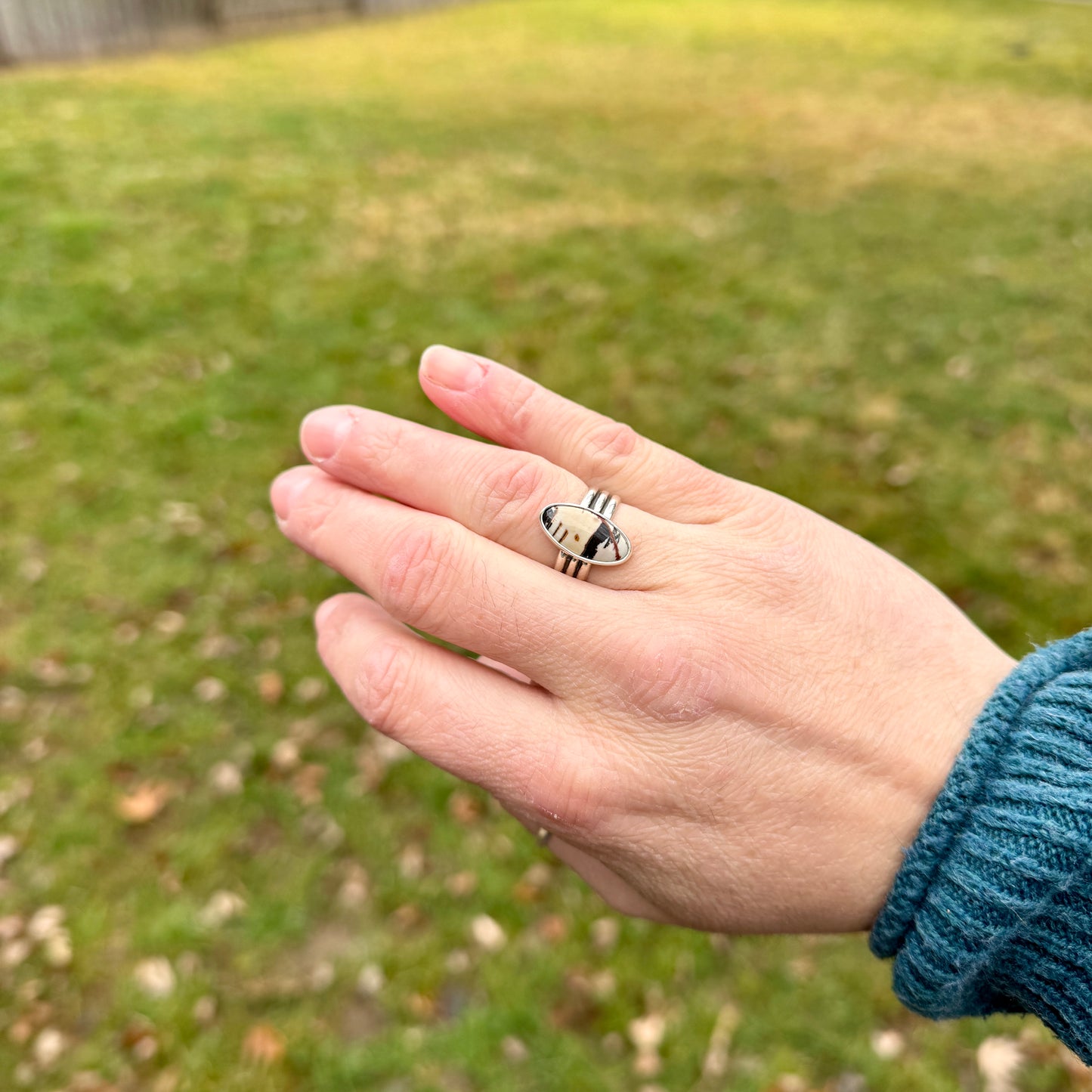 Owyhee Picture Jasper Ring