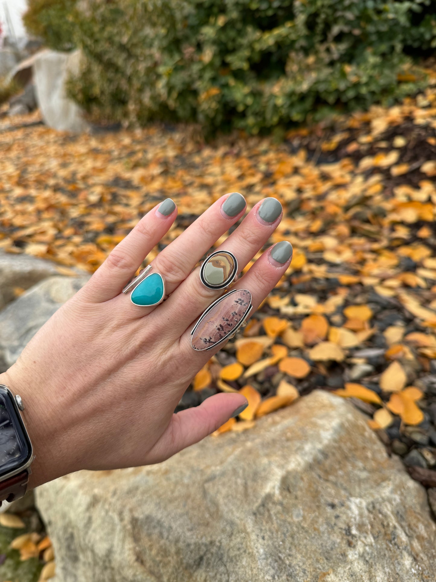 Owyhee Picture Jasper Ring